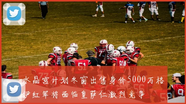 水晶宫计划冬窗出售身价5000万格伊红军将面临皇萨仁激烈竞争