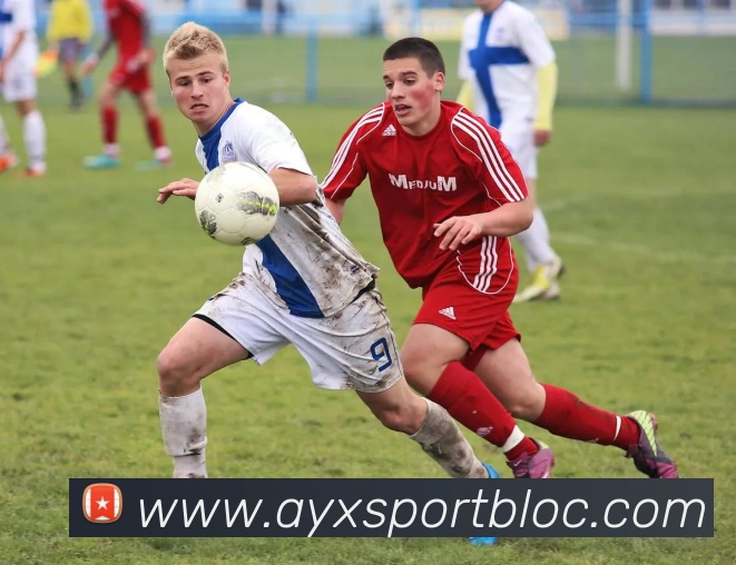 多媒体互动体验